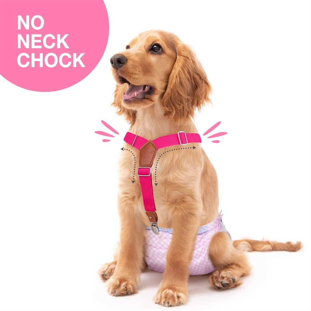 2 Pieces Dog Diaper Suspenders X30685
