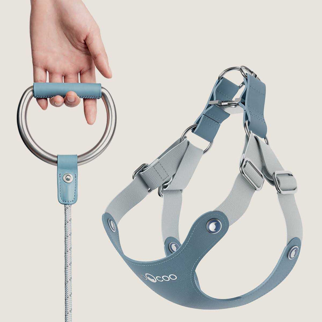 Pet Harness and Leash Set D7833