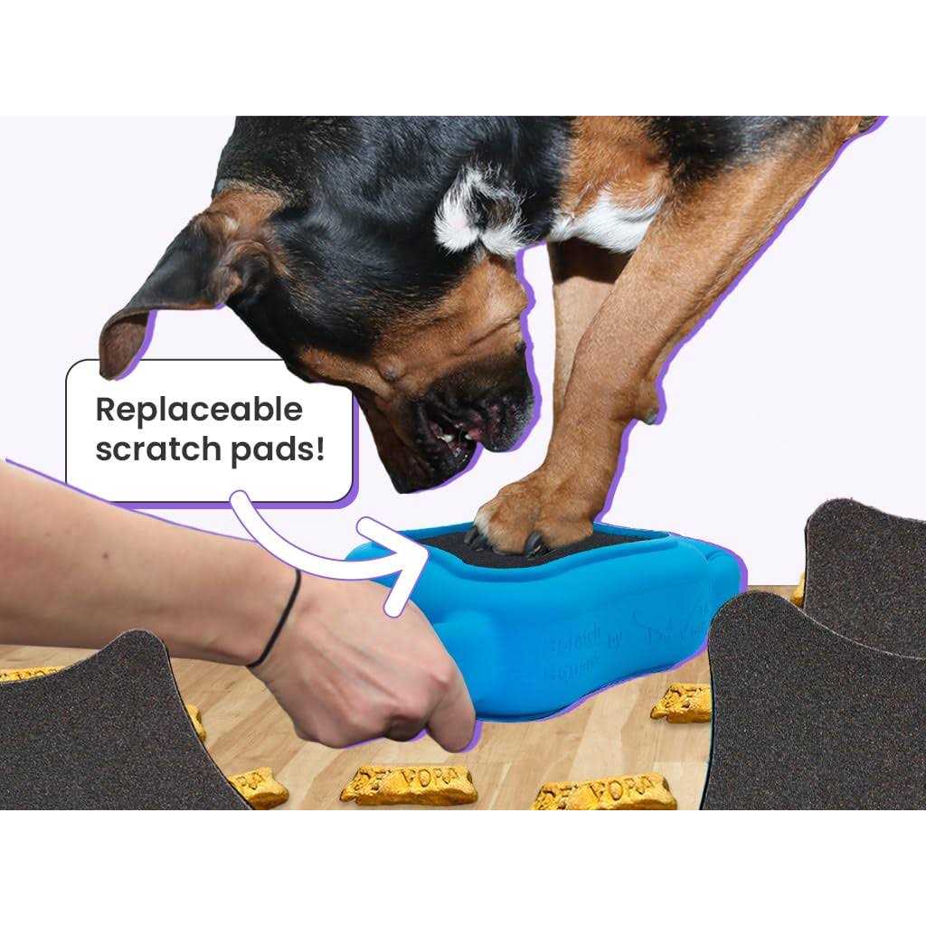 Dog & Cat Grooming Toy I6352