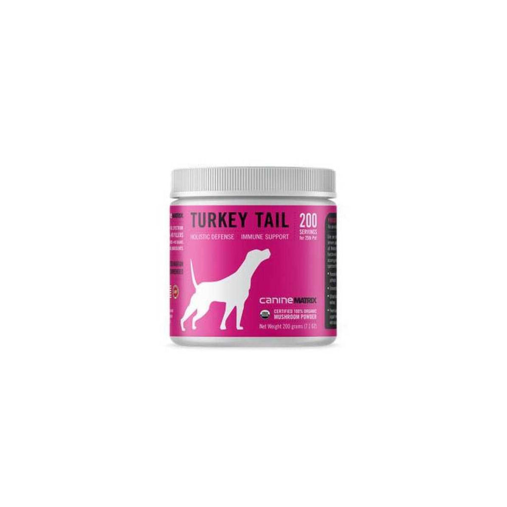 Turkey Tail Mushroom Supplement Y929