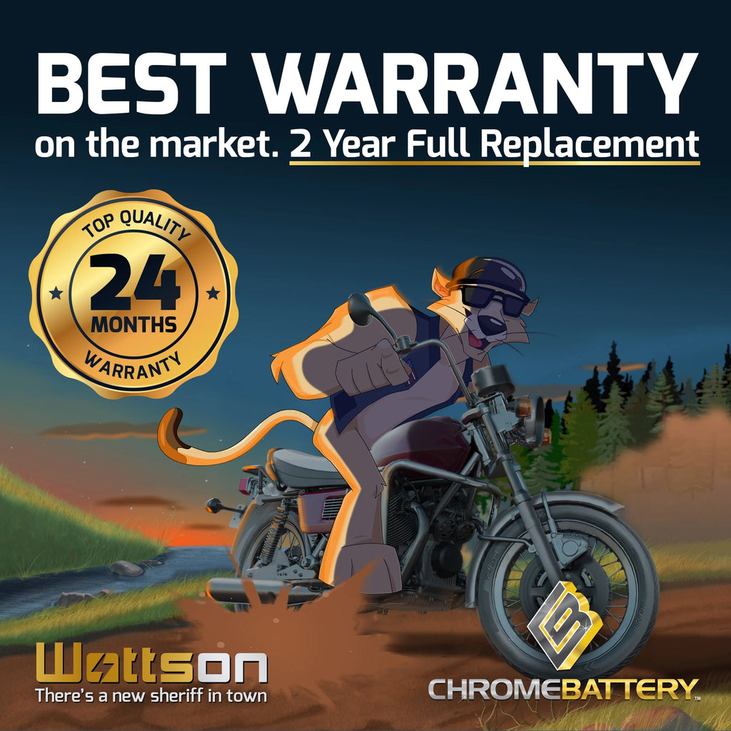 12 Volt 10 Ah 180 CCA Motorcycle Battery M59320