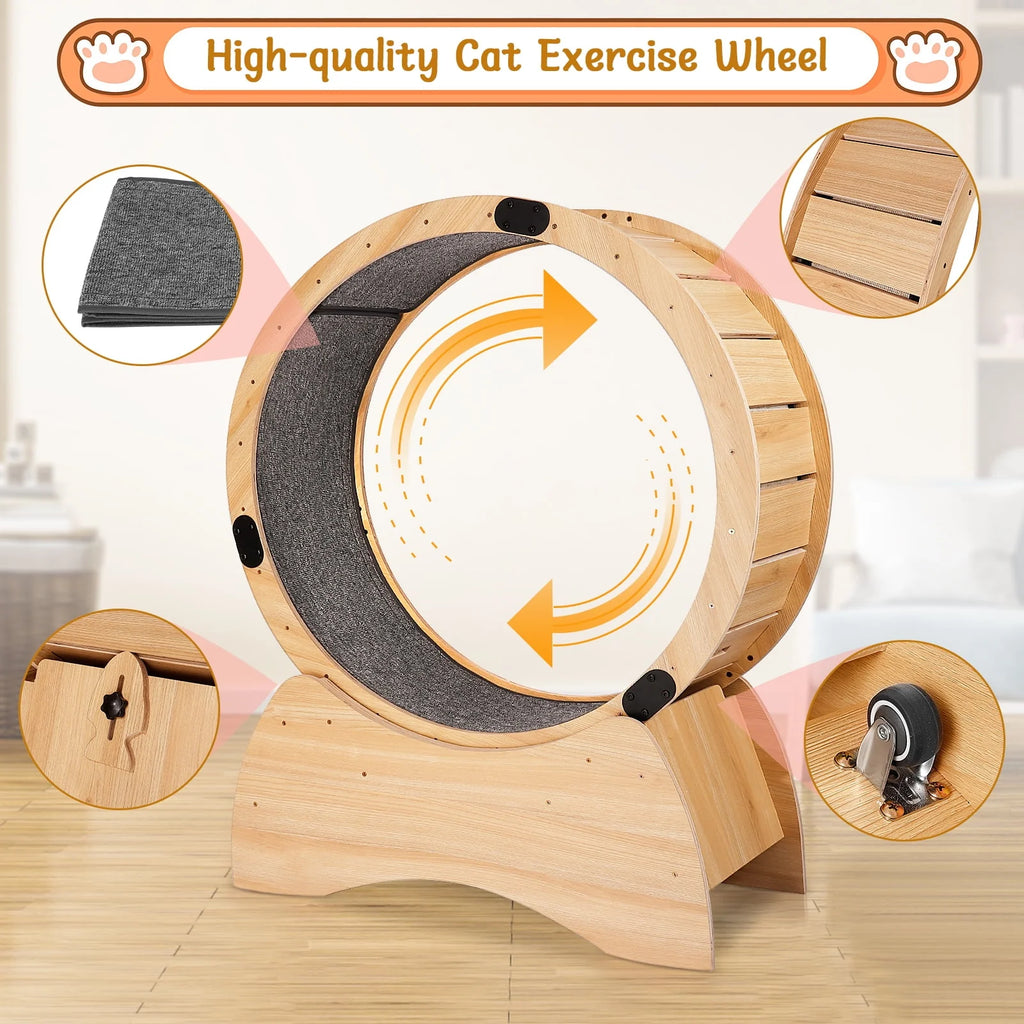 Cat Exercise Wheel Z796406
