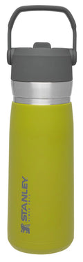 22 oz Insulated Stainless Steel Water Bottle with Straw and Flip-Top Lid J92565