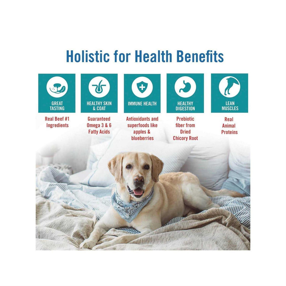 Chicken Turkey & Brown Rice Recipe Dry Dog Food U74437