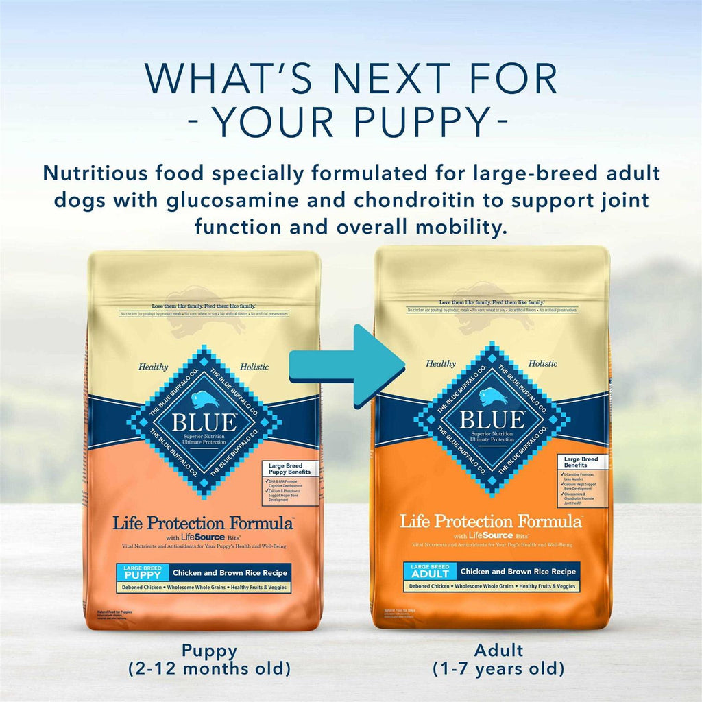 Large Breed Puppy Chicken & Brown Rice Dry Dog Food O234246