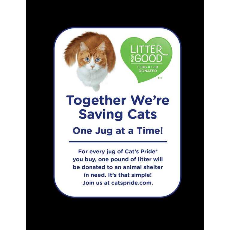 Scoopable Scented Lightweight Clumping Cat Litter K5280