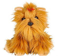 Yorkshire Terrier Case of 6 L29351