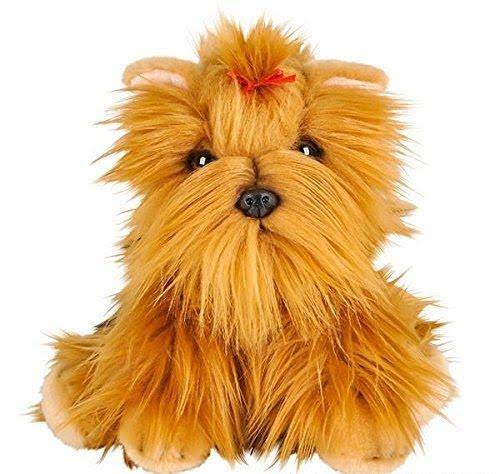 Yorkshire Terrier Case of 6 L29351