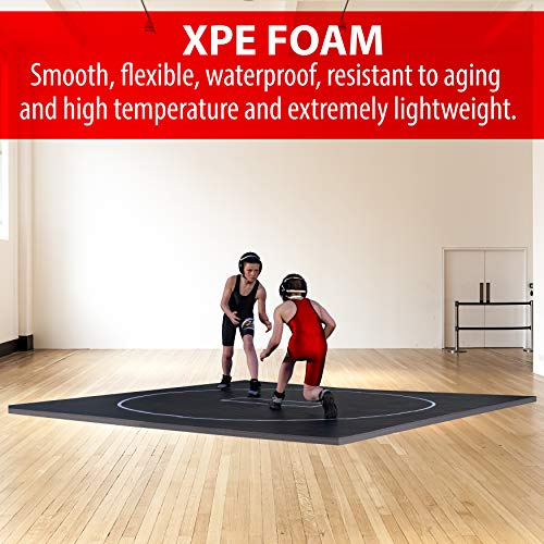 10' x 10' Wrestling Mat Y356102