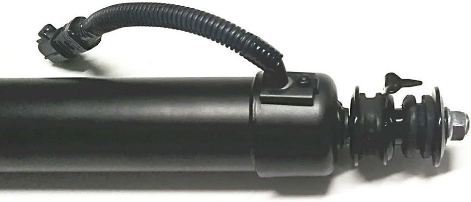 Left and Right Rear Shock Absorber Set B975645