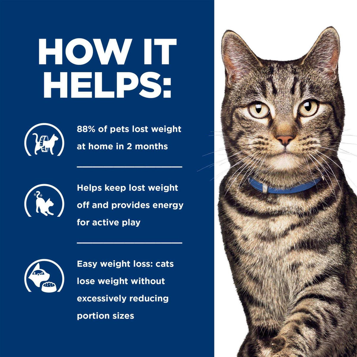 Metabolic Feline Dry Food G3018