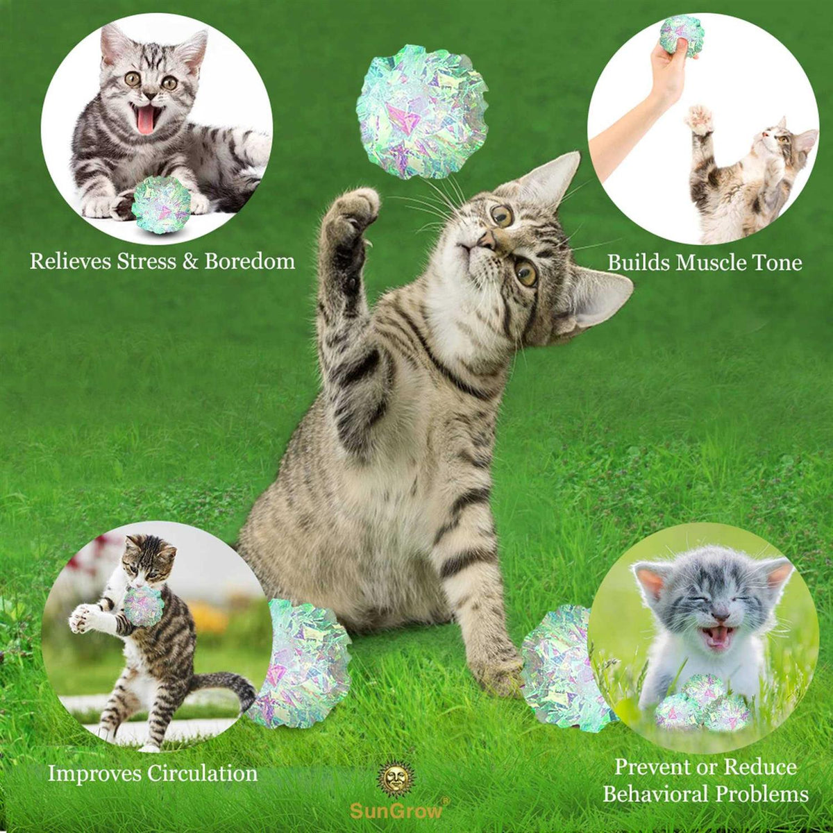 Clear Mylar Cat & Ferret Crinkle Balls & Chase Toy M6625