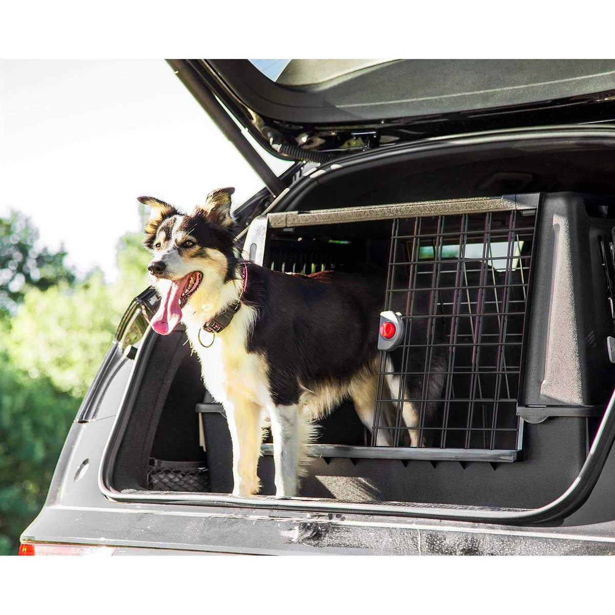 Dog Crate K7356