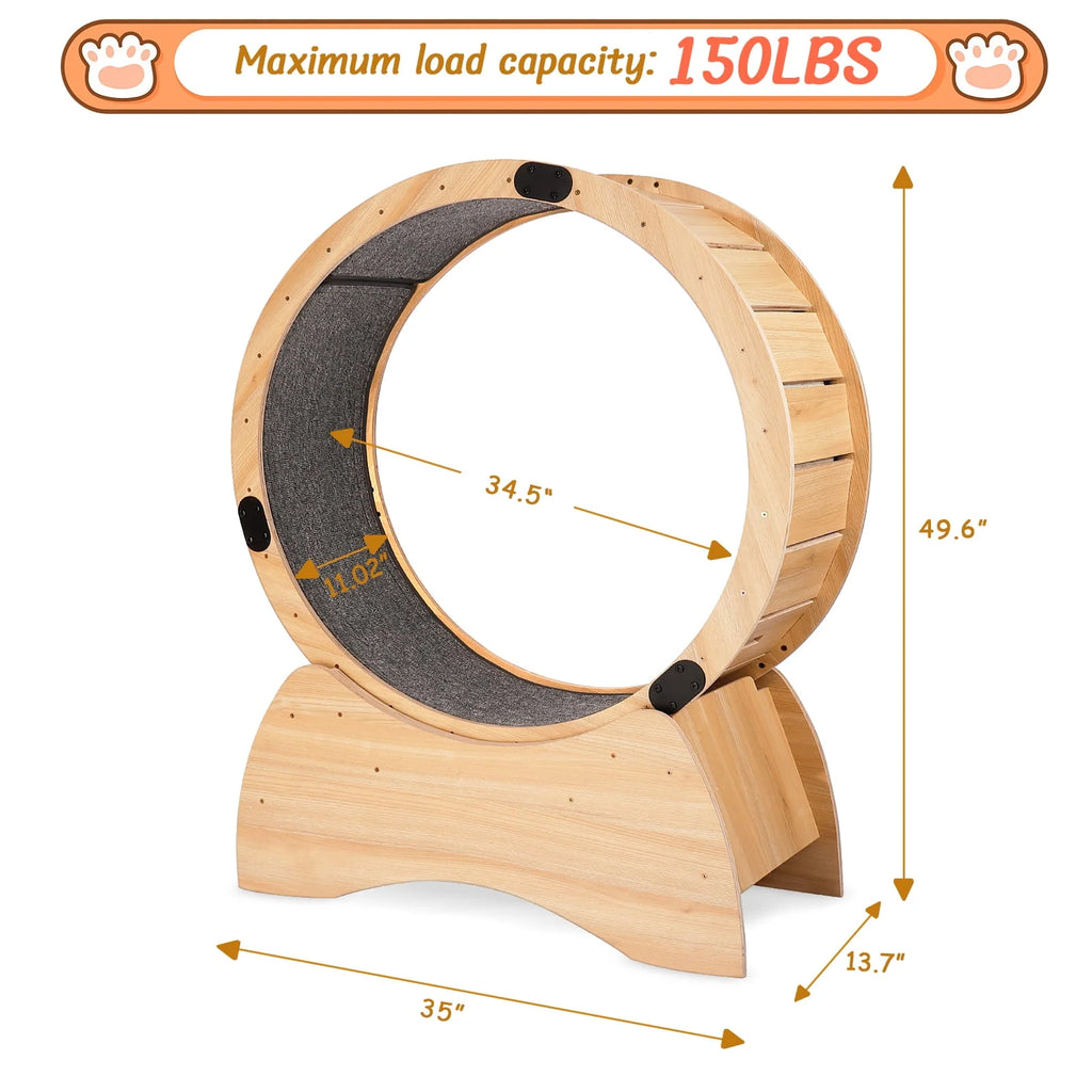 Cat Exercise Wheel Z796406