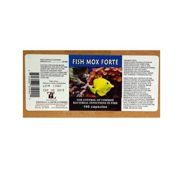 500 mg 100 Capsules X771608