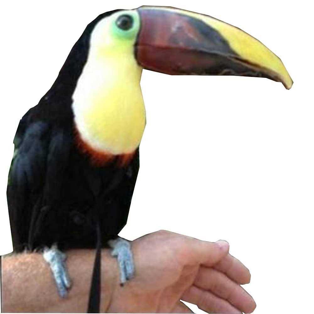 Adjustable Bird Harness and Leash K5315