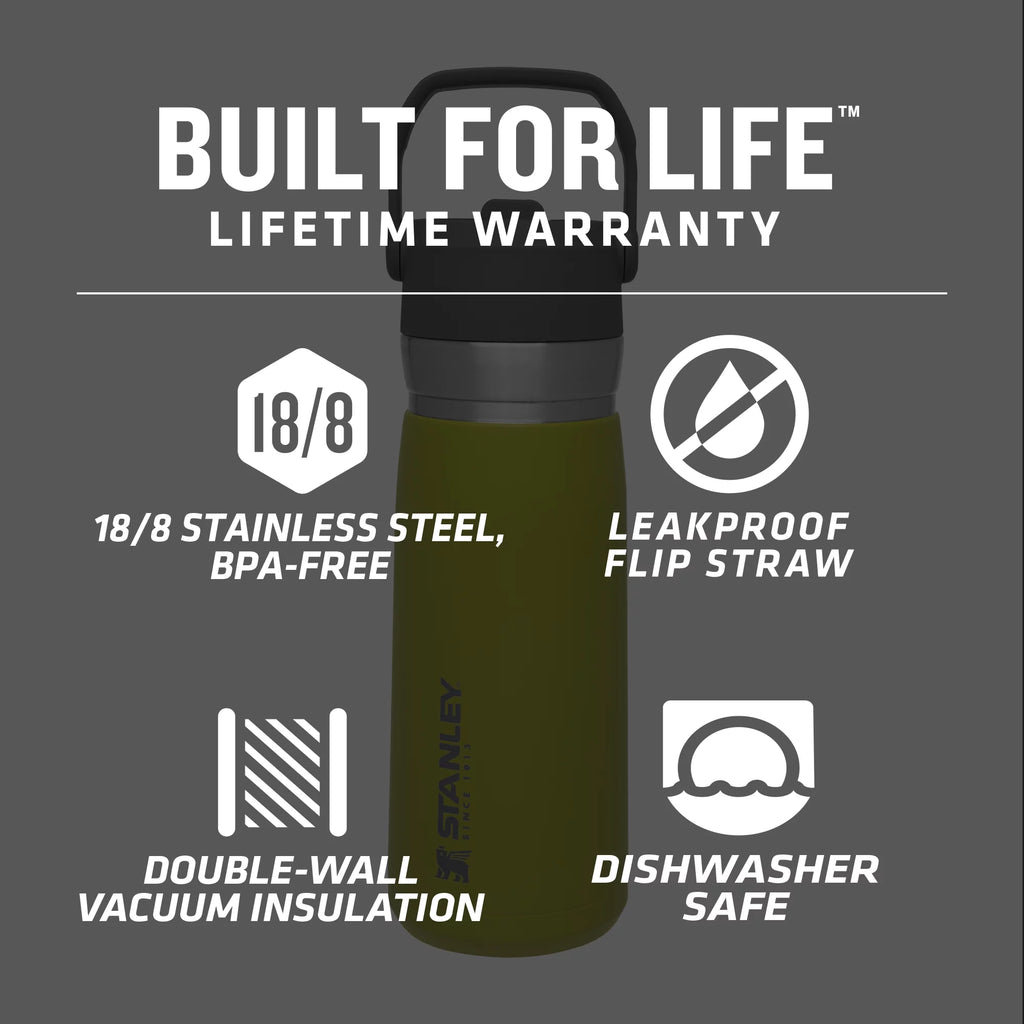 22 oz Insulated Stainless Steel Water Bottle with Straw and Flip-Top Lid J92565