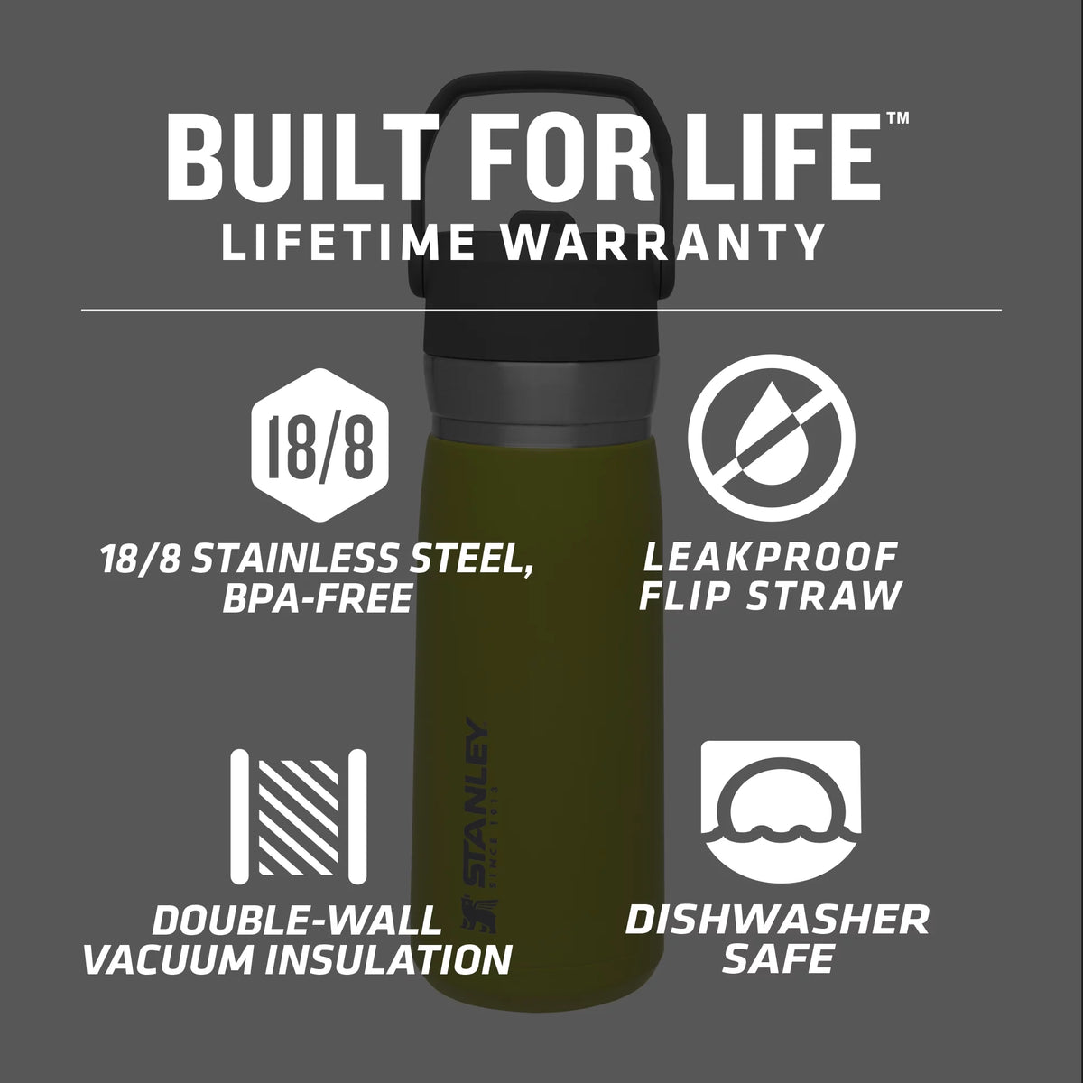 22 oz Insulated Stainless Steel Water Bottle with Straw and Flip-Top Lid J92565