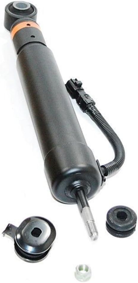 Left and Right Rear Shock Absorber Set B975645