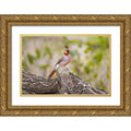 Gold Ornate Wood Framed Art Print Y25293