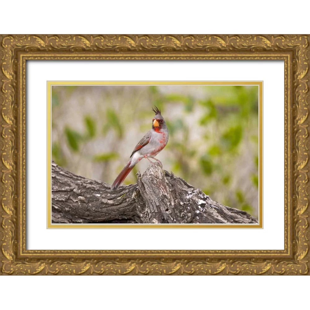 Gold Ornate Wood Framed Art Print Y25293