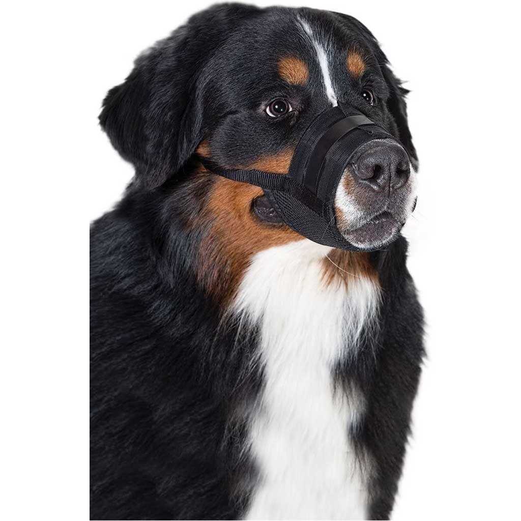 Dog Muzzle B16994