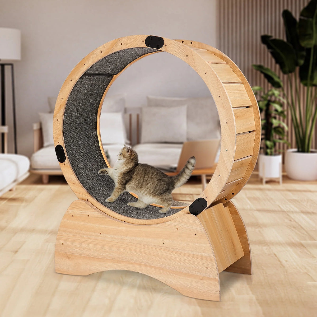 Cat Exercise Wheel Z796406