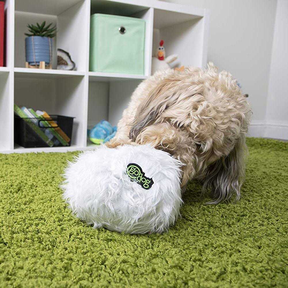 Dog Toy V348