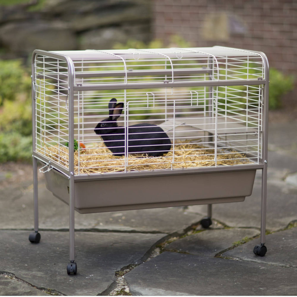 Small Animal Cage O93742