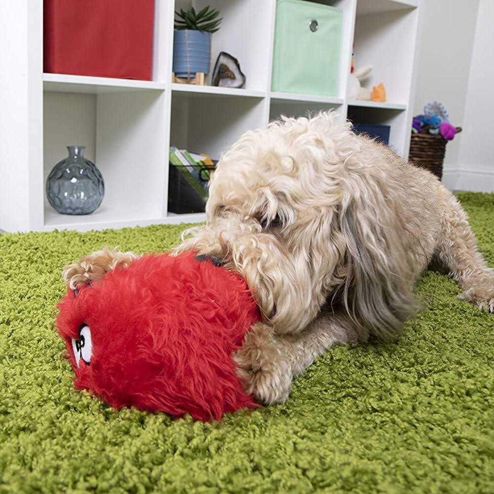 Dog Toy V348