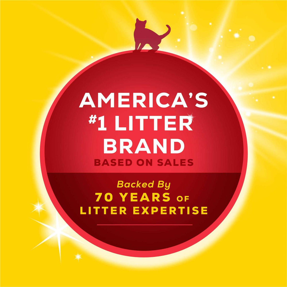 Clumping Cat Litter I980481