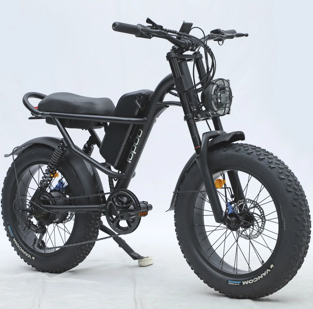20" x 4.0 Electric Bike with 750W Brushless Motor, 48V 15.6Ah Removable Battery, Shimano 7-Speed Transmission K349715