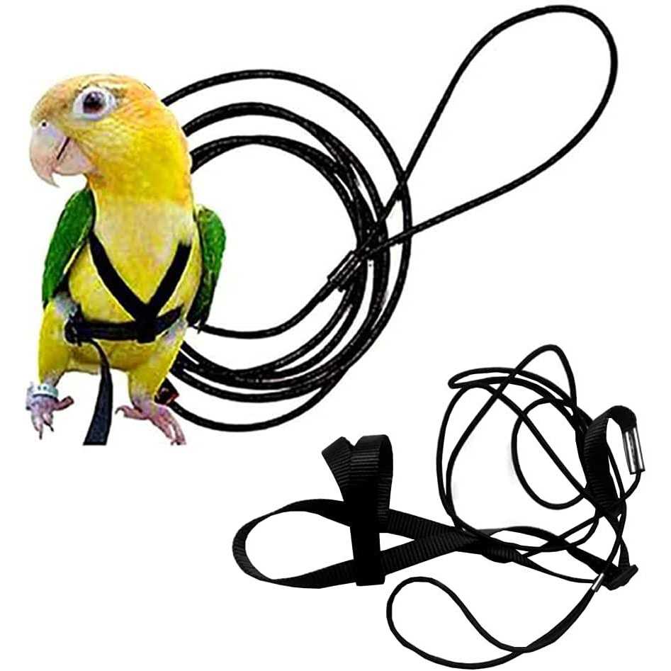Adjustable Bird Harness and Leash K5315