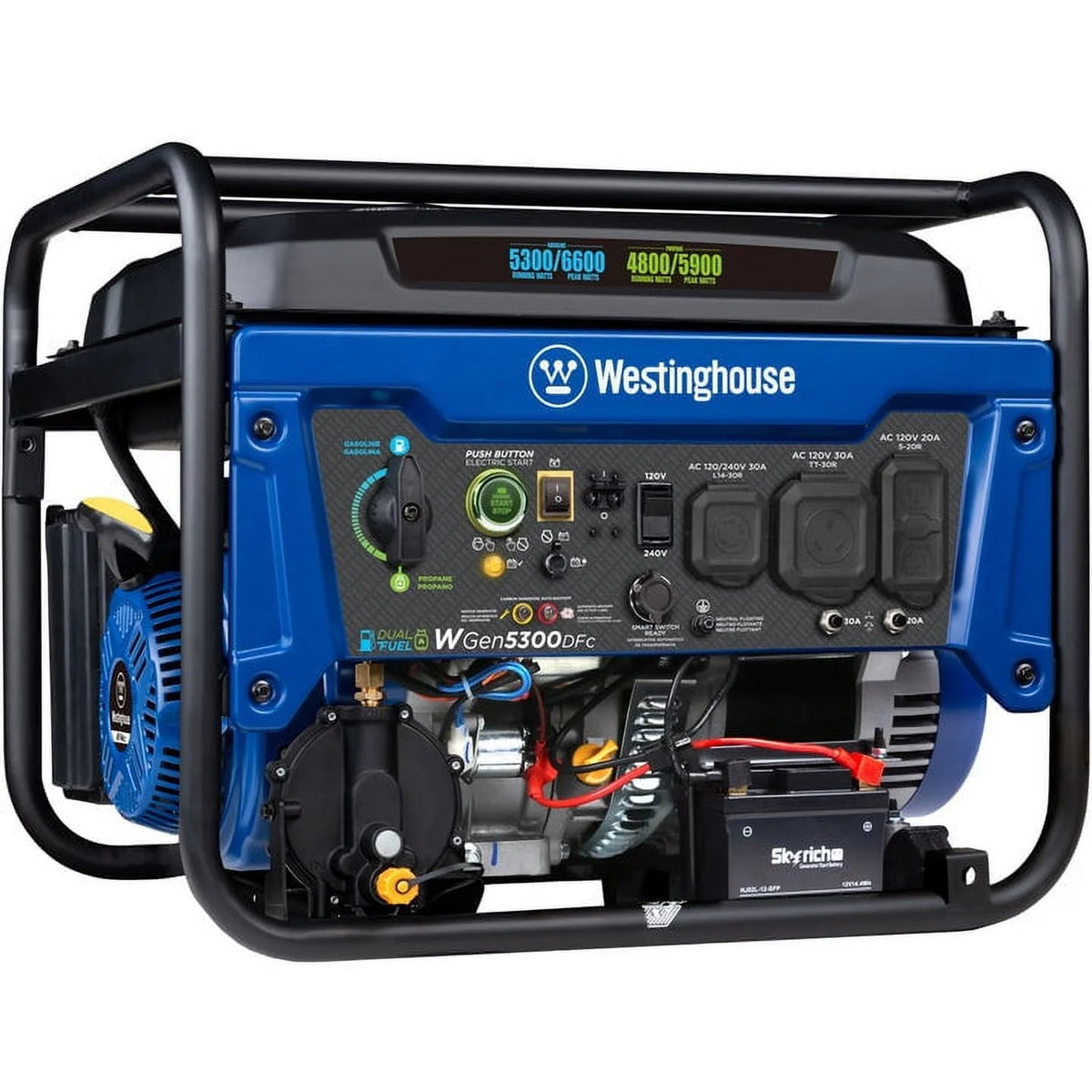 6600 Peak Watt Dual Fuel Portable Generator with Remote Electric Start F218