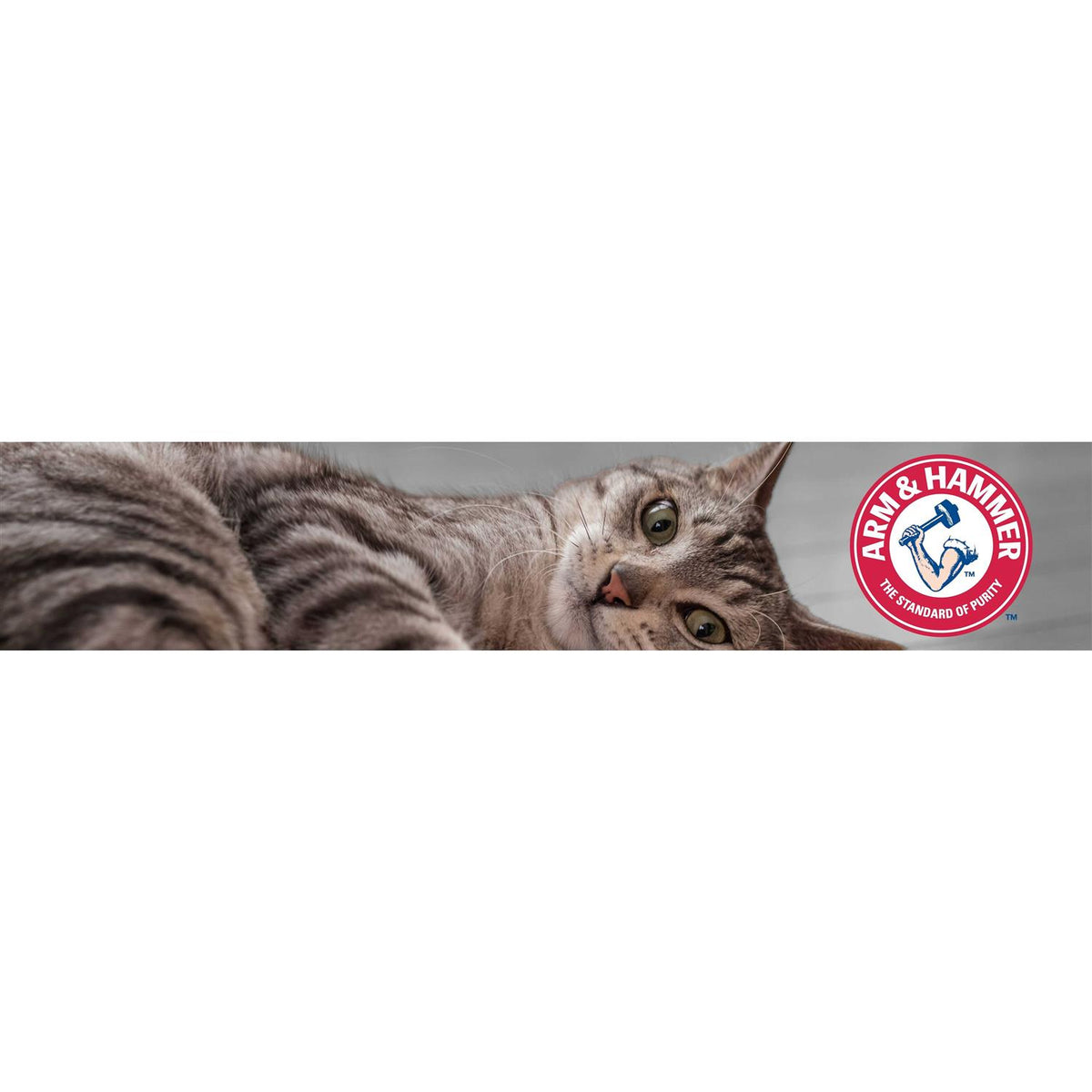Clumping Cat Litter E42887