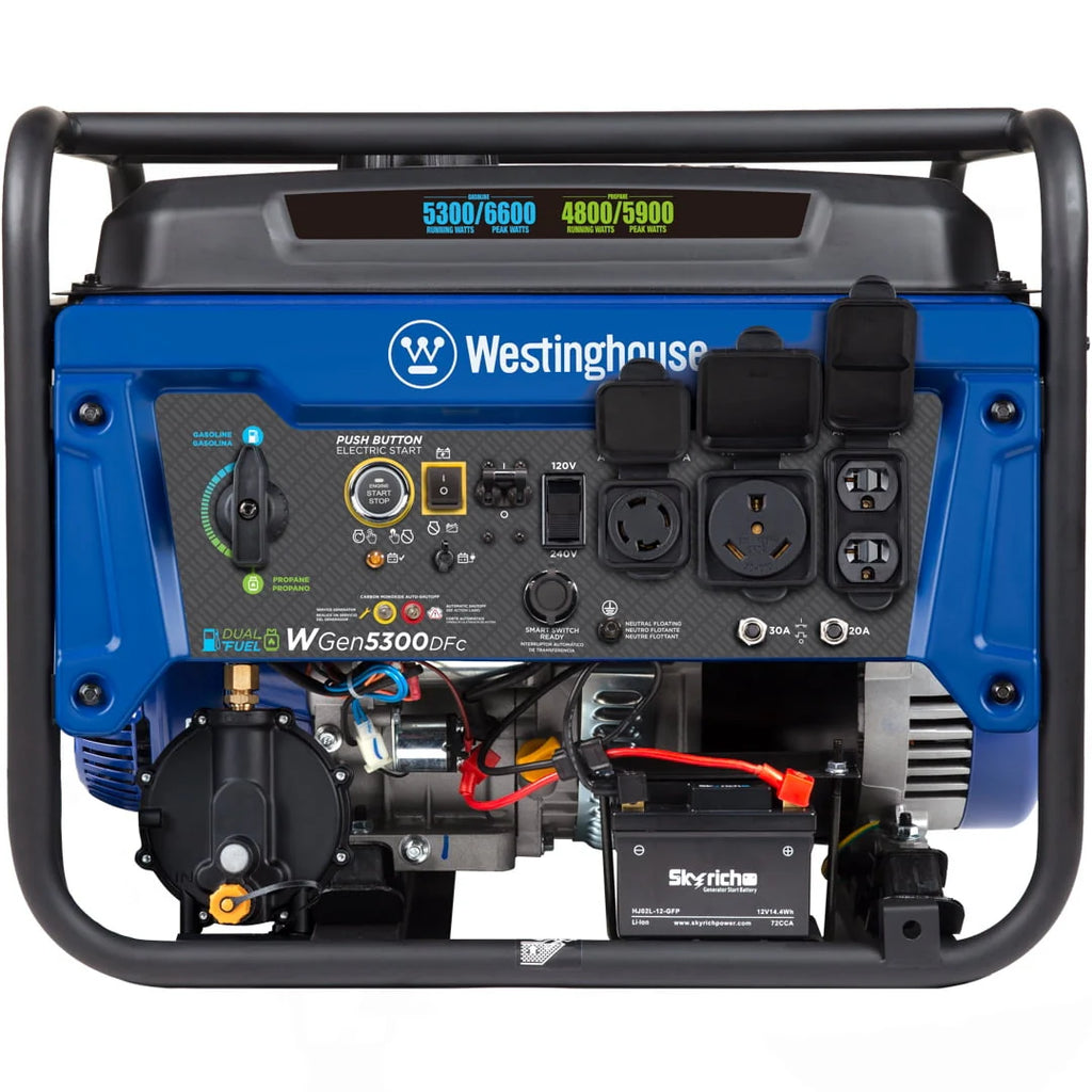 6600 Peak Watt Dual Fuel Portable Generator with Remote Electric Start F218