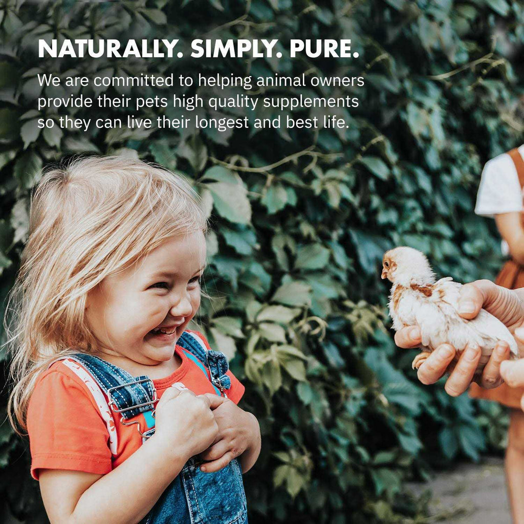Probiotics for Chickens & Poultry Z2162