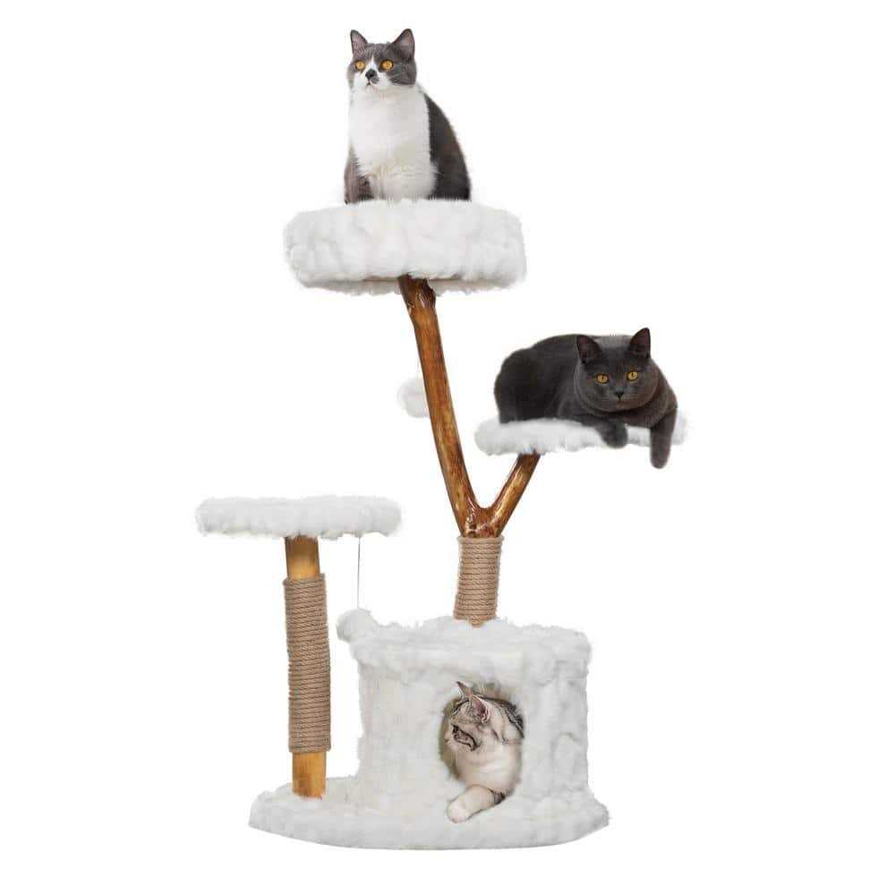 Cat Tree Cat Condo S550881