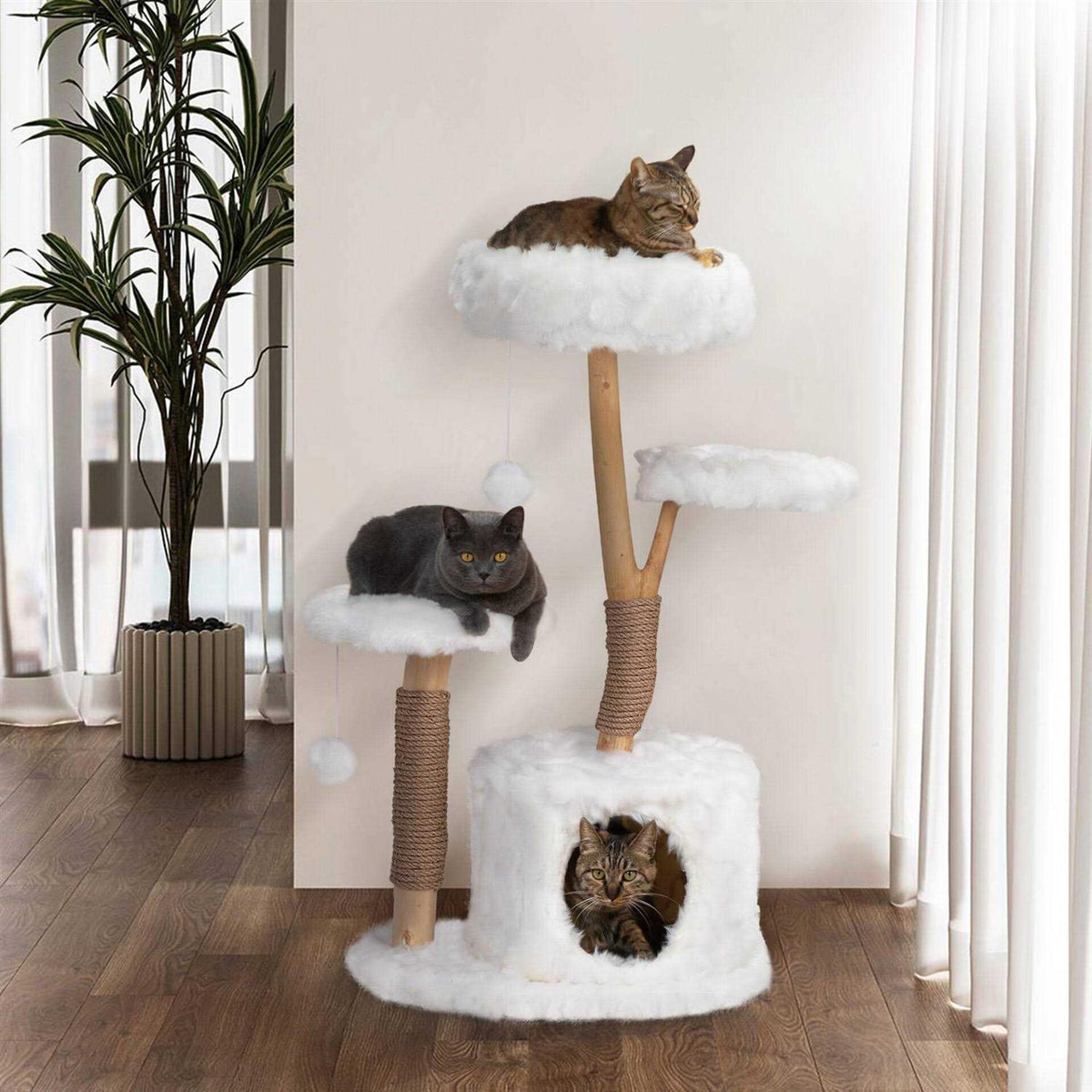 Cat Tree Cat Condo S550881