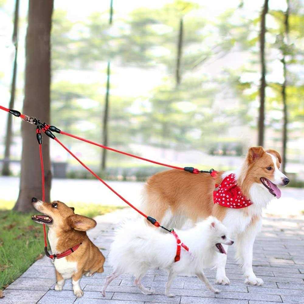Heavy Duty 3 Way Dog Leash with Padded Handle B571510