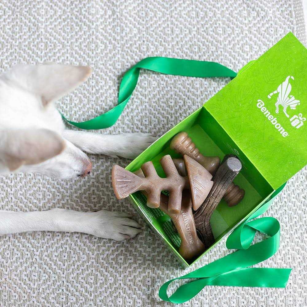 Holiday 4 Pack Dog Chew Toy V8348