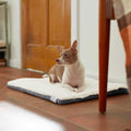 Self-Warming Reversible Cat & Dog Mat F830