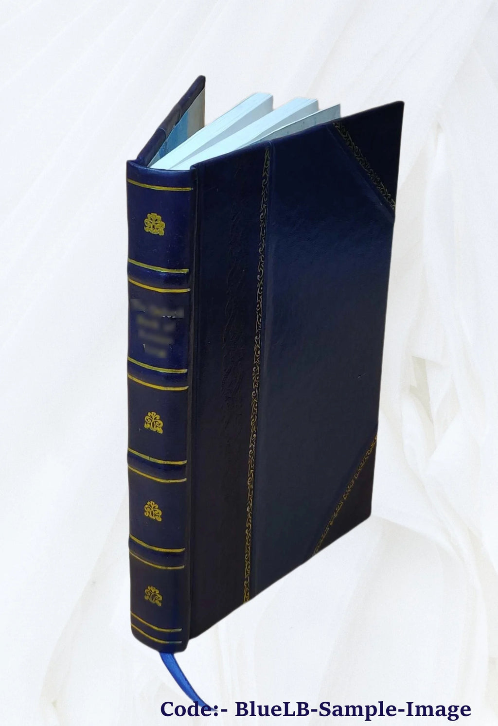 Ralph Ryder of Brent; a novel 1892 [Leather Bound] D7587