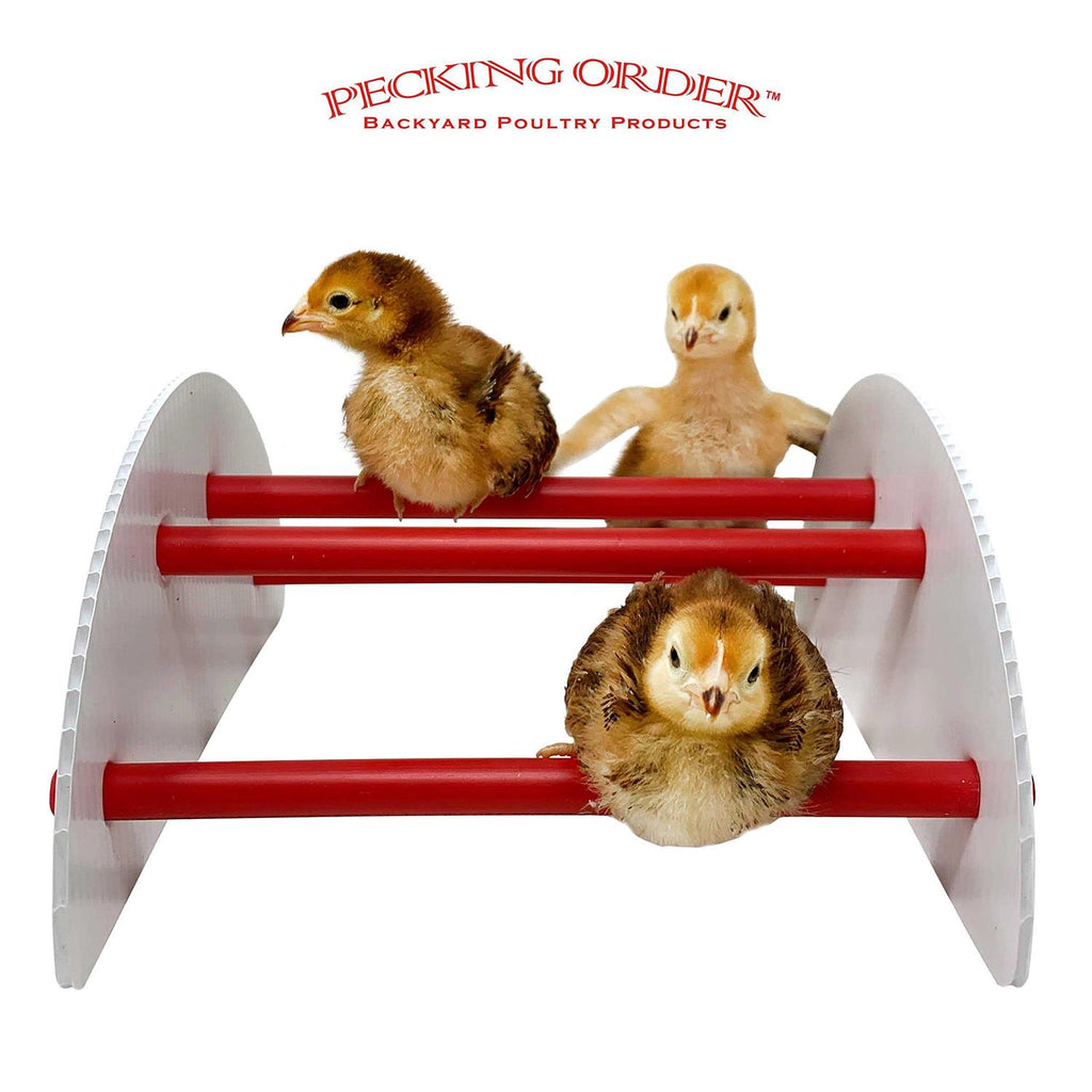 Chick-N-Play K9917
