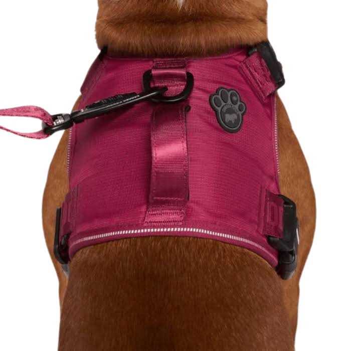 Complete Control Dog Harness V342