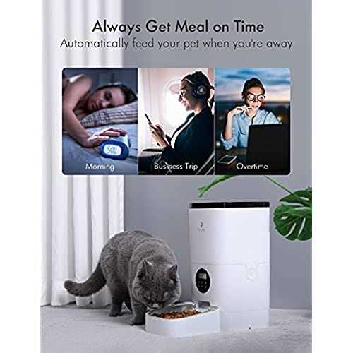 Automatic Cat Food Dispenser B12756