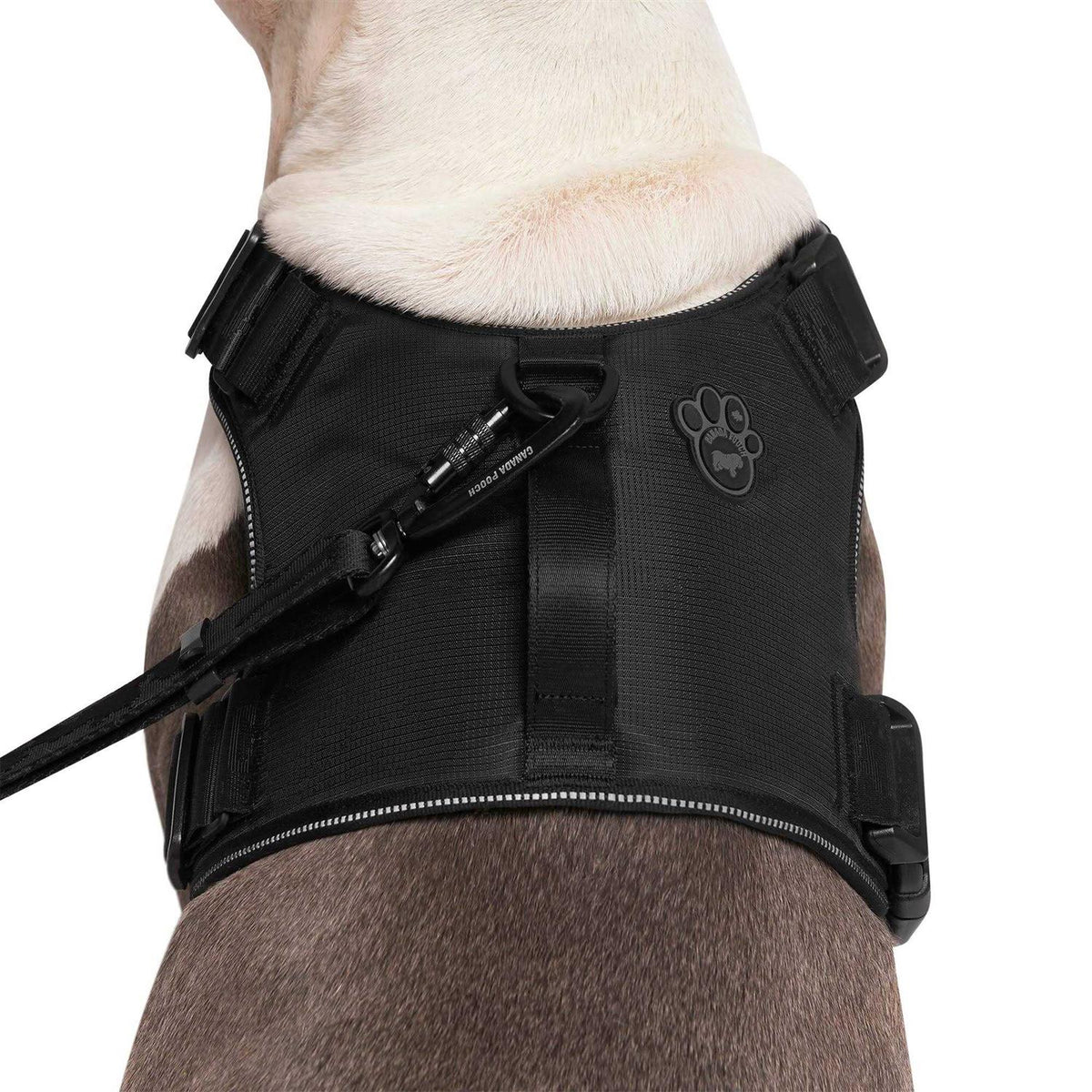 Complete Control Dog Harness V342