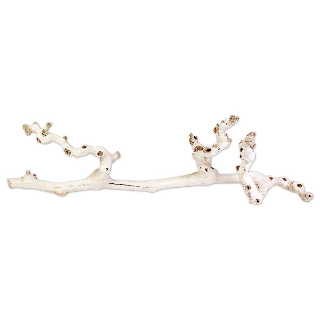Grapewood Branch W489209