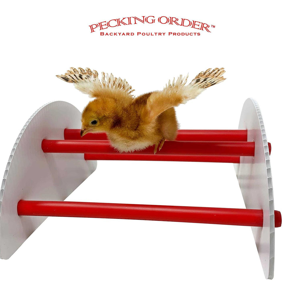 Chick-N-Play K9917