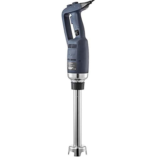 350W 304 Stainless Steel Immersion Blender F9292